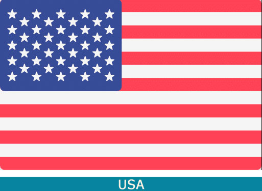 1USA 1USA
